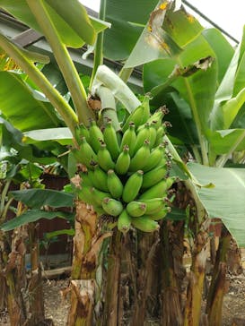 おきなわワールドに投稿された画像（2023/5/29）