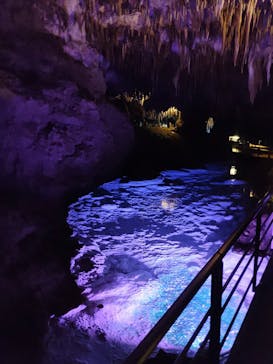 おきなわワールドに投稿された画像（2023/5/29）