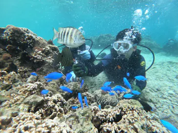 武藤潜水に投稿された画像（2023/5/29）