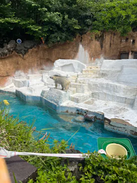 天王寺動物園に投稿された画像（2023/5/29）