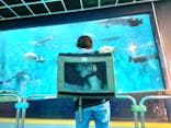 箱根園水族館に投稿された画像（2023/5/29）
