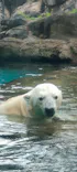 よこはま動物園ズーラシアに投稿された画像（2023/5/29）