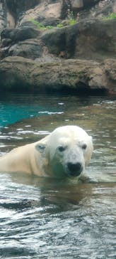 よこはま動物園ズーラシアに投稿された画像（2023/5/29）