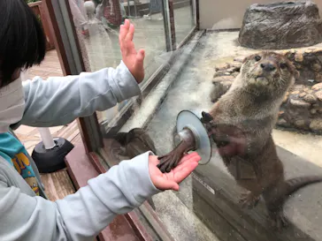 横浜・八景島シーパラダイスに投稿された画像（2023/5/29）