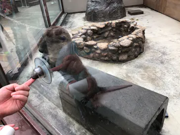 横浜・八景島シーパラダイスに投稿された画像（2023/5/29）