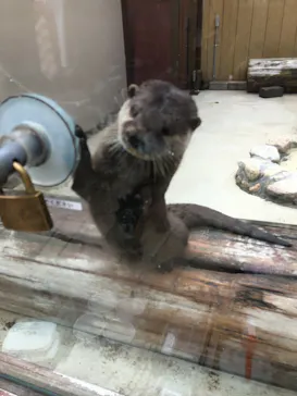 横浜・八景島シーパラダイスに投稿された画像（2023/5/29）