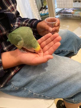 Moff animal cafe イオンモール幕張新都心店に投稿された画像（2023/5/29）