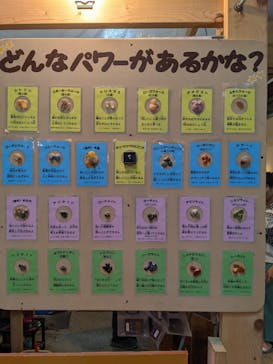 ストーンミュージアム博石館に投稿された画像（2023/5/29）