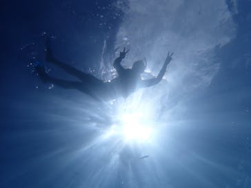 石垣島 ADVENTURE PiPi（イシガキジマアドベンチャーピピ）に投稿された画像（2023/5/29）