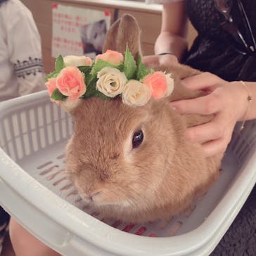 伊香保グリーン牧場に投稿された画像（2023/5/29）