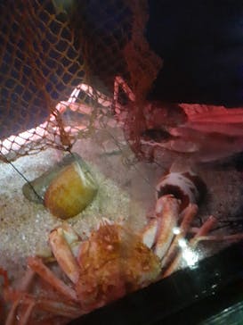 上越市立水族博物館 うみがたりに投稿された画像（2023/5/29）