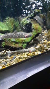 上越市立水族博物館 うみがたりに投稿された画像（2023/5/29）