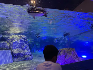 すみだ水族館に投稿された画像（2023/5/29）