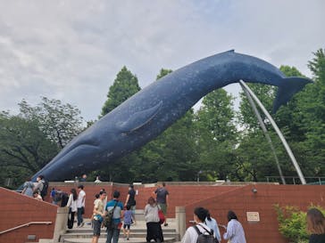 国立科学博物館に投稿された画像（2023/5/29）