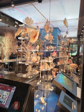 国立科学博物館に投稿された画像（2023/5/29）