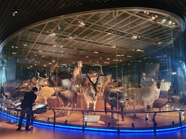 国立科学博物館に投稿された画像（2023/5/29）