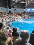 マクセル アクアパーク品川に投稿された画像（2023/5/29）