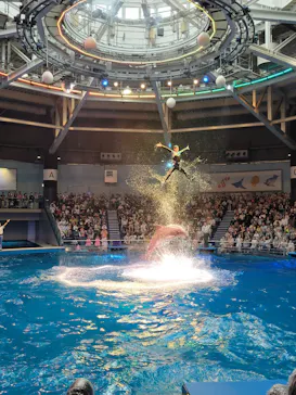 マクセル アクアパーク品川に投稿された画像（2023/5/29）