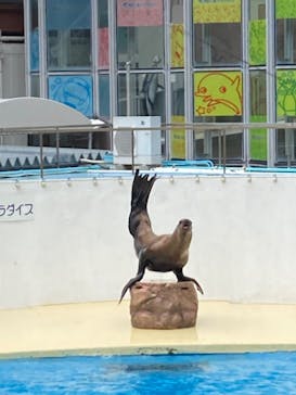 伊豆・三津シーパラダイスに投稿された画像（2023/5/29）