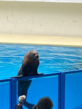 伊豆・三津シーパラダイスに投稿された画像（2023/5/29）