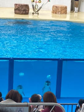 伊豆・三津シーパラダイスに投稿された画像（2023/5/29）