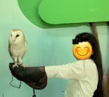 Moff animal cafe iias つくば店に投稿された画像（2023/5/29）