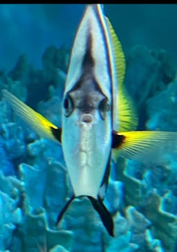 サンシャイン水族館に投稿された画像（2023/5/29）