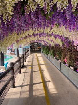 東京サマーランドに投稿された画像（2023/5/29）