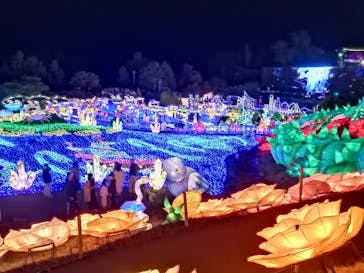 伊豆ぐらんぱる公園に投稿された画像（2023/5/30）