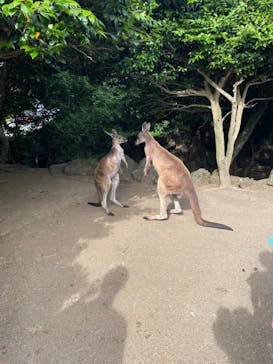 伊豆シャボテン動物公園に投稿された画像（2023/5/30）