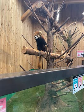 伊豆シャボテン動物公園に投稿された画像（2023/5/30）