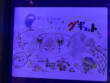 新江ノ島水族館に投稿された画像（2023/5/30）