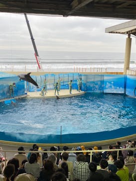 新江ノ島水族館に投稿された画像（2023/5/30）