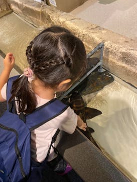 新江ノ島水族館に投稿された画像（2023/5/30）