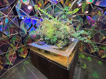 NARA KINGYO MUSEUMに投稿された画像（2023/5/30）