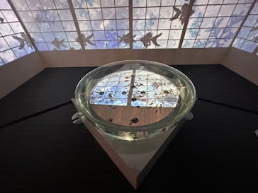 NARA KINGYO MUSEUMに投稿された画像（2023/5/30）