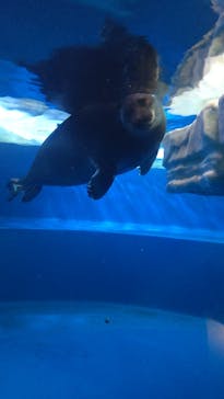 サンシャイン水族館に投稿された画像（2023/5/30）
