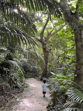 石垣島アドベンチャーフォトツアーKIBOUに投稿された画像（2023/5/30）