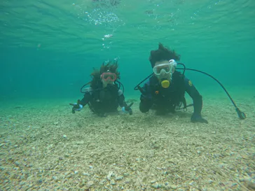 武藤潜水に投稿された画像（2023/5/30）