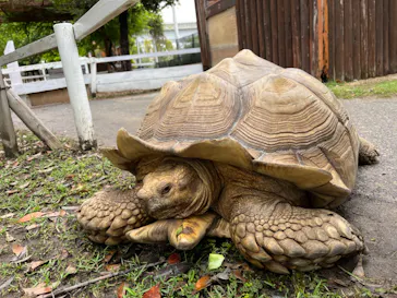 神戸どうぶつ王国に投稿された画像（2023/5/30）