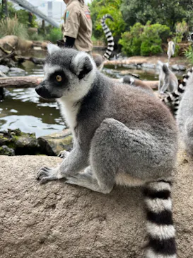 神戸どうぶつ王国に投稿された画像（2023/5/30）