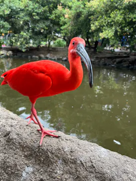 神戸どうぶつ王国に投稿された画像（2023/5/30）