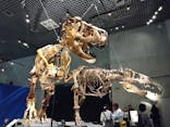 特別展「恐竜博2023」に投稿された画像（2023/5/30）