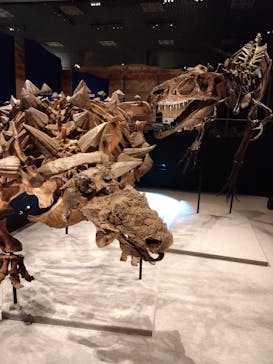 特別展「恐竜博2023」に投稿された画像（2023/5/30）