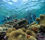 宮古島 ADVENTURE PiPi（ミヤコジマ アドベンチャー ピピ）に投稿された画像（2023/5/30）