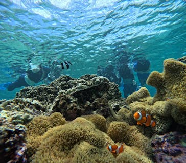 宮古島 ADVENTURE PiPi（ミヤコジマ アドベンチャー ピピ）に投稿された画像（2023/5/30）