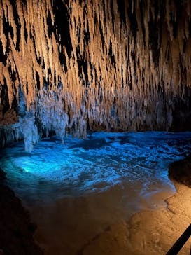 おきなわワールドに投稿された画像（2023/5/30）