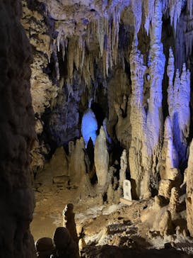 おきなわワールドに投稿された画像（2023/5/30）