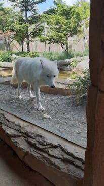 那須どうぶつ王国に投稿された画像（2023/5/30）