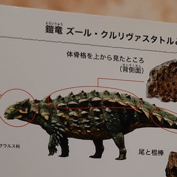 特別展「恐竜博2023」に投稿された画像（2023/5/30）